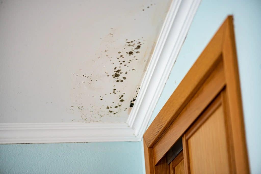 Health Problems Mold