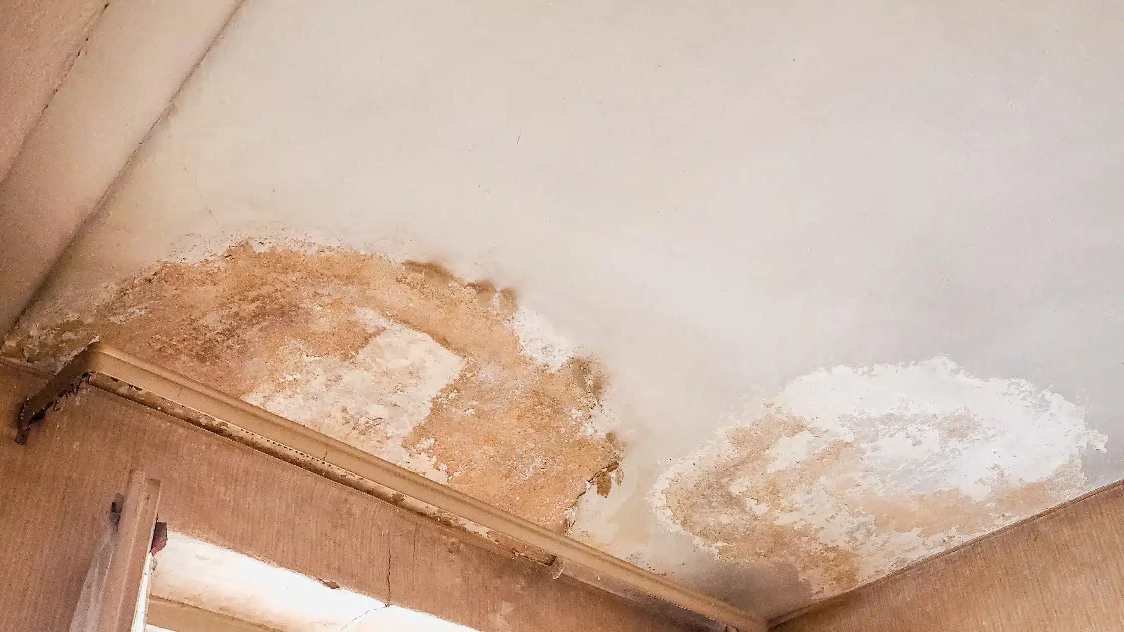 Moisture Mapping