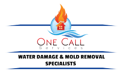One Call Services logo