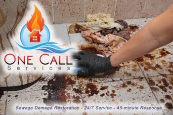 Sewage Damage Cleanup