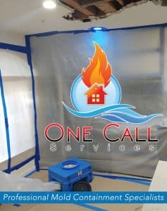 Mold Removal