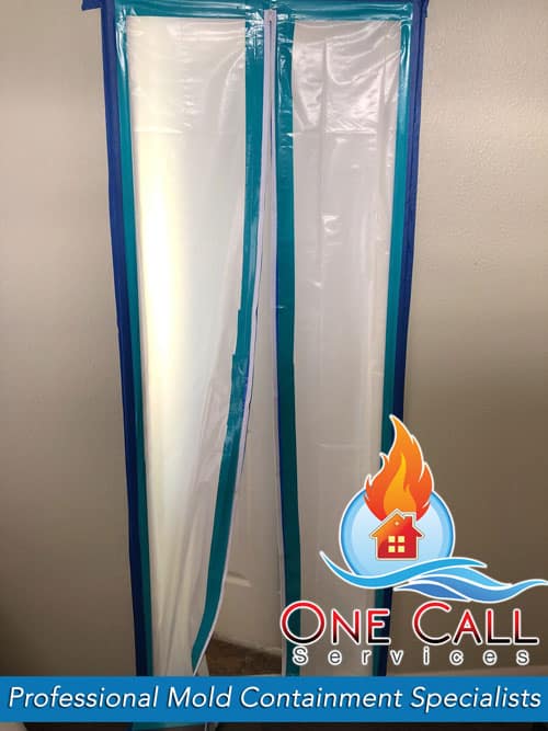 Mold Removal