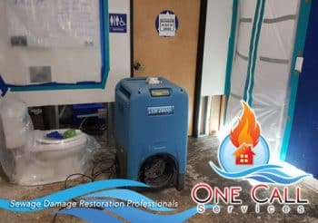 Sewage Cleanup
